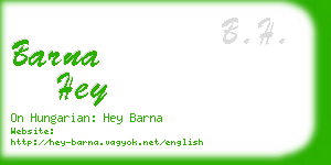 barna hey business card